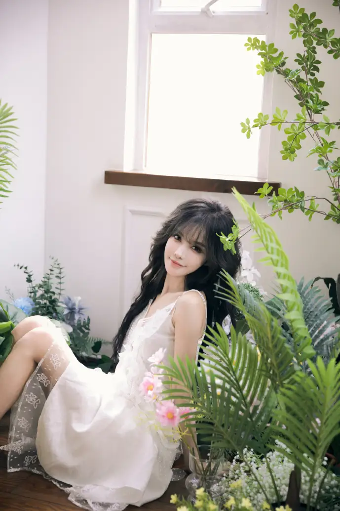 平面图数据泄露示意图